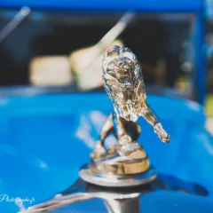 Car et Moto Addiction 24052026