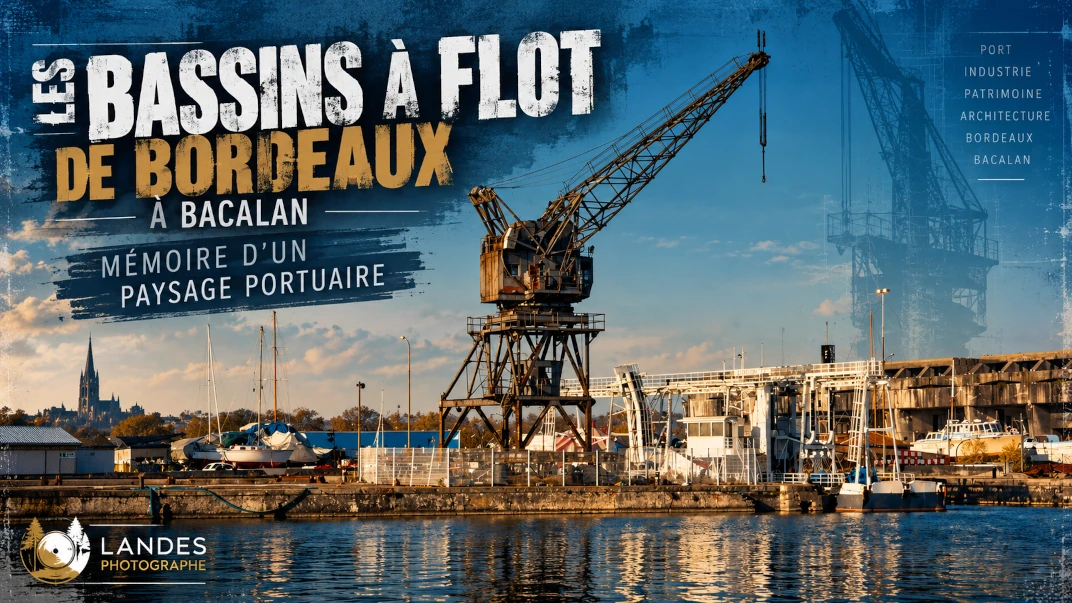 Les Bassins à flot de Bordeaux à Bacalan : mémoire d’un paysage portuaire