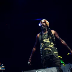 Asian Dub Foundation au Reggae Sun Ska 2015 : un live entre dub, hip-hop et électro