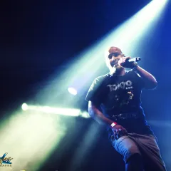 Asian Dub Foundation au Reggae Sun Ska 2015 : un live entre dub, hip-hop et électro