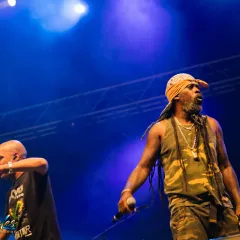 Asian Dub Foundation au Reggae Sun Ska 2015 : un live entre dub, hip-hop et électro