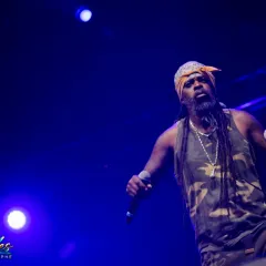 Asian Dub Foundation au Reggae Sun Ska 2015 : un live entre dub, hip-hop et électro
