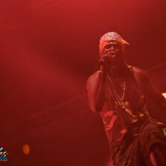 Asian Dub Foundation au Reggae Sun Ska 2015 : un live entre dub, hip-hop et électro