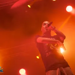Asian Dub Foundation au Reggae Sun Ska 2015 : un live entre dub, hip-hop et électro