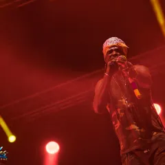 Asian Dub Foundation au Reggae Sun Ska 2015 : un live entre dub, hip-hop et électro