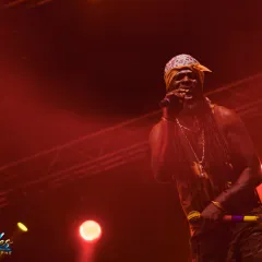 Asian Dub Foundation au Reggae Sun Ska 2015 : un live entre dub, hip-hop et électro