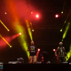 Asian Dub Foundation au Reggae Sun Ska 2015 : un live entre dub, hip-hop et électro