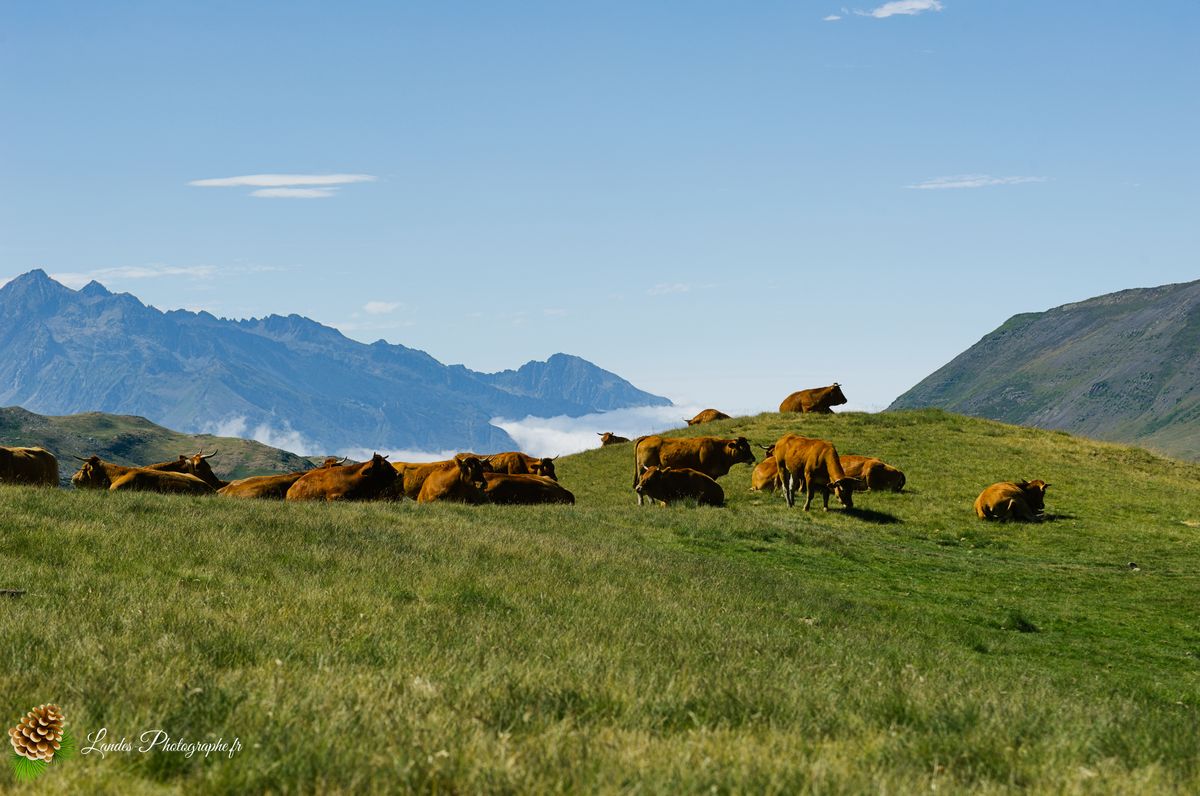 🌄 L'Épique Silence de Troumouse : Grandeur UNESCO et Respect Montagnard