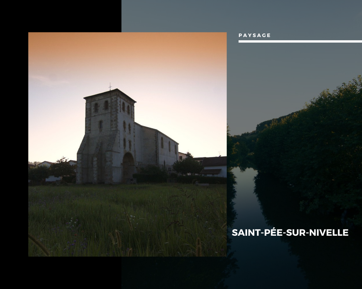 🏞️ Reportage au Cœur du Labourd : Saint-Pée-sur-Nivelle