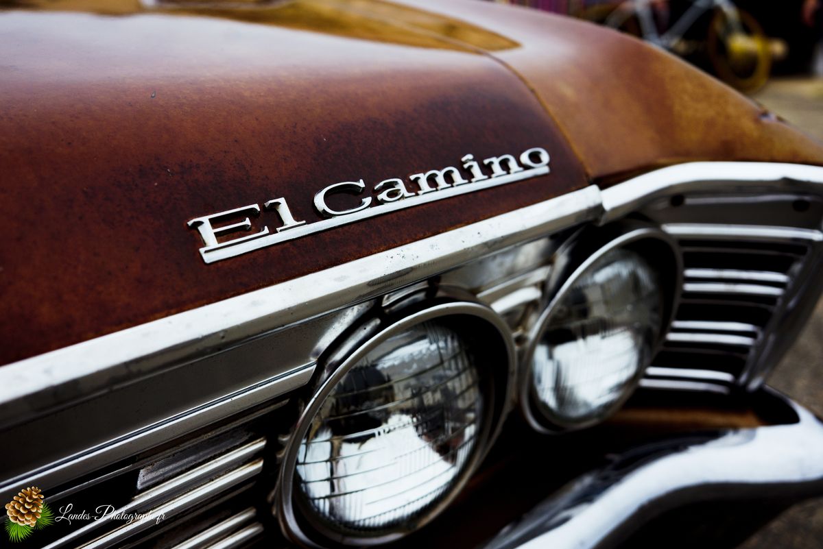 🎸 American Crazy Week 2026 : V8, Chrome et Esprit Californien à Seignosse