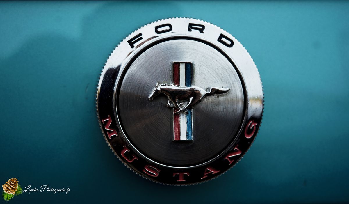 🎸 American Crazy Week 2026 : V8, Chrome et Esprit Californien à Seignosse