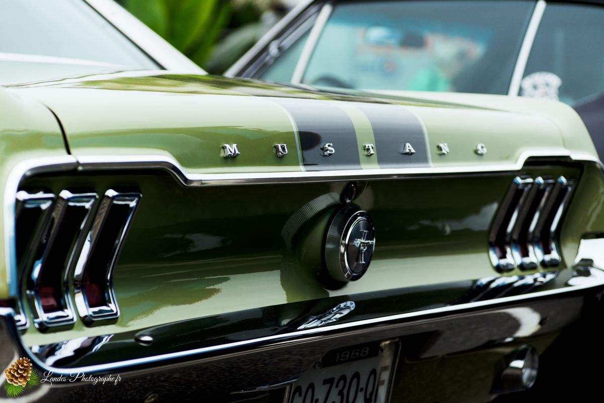 🎸 American Crazy Week 2026 : V8, Chrome et Esprit Californien à Seignosse