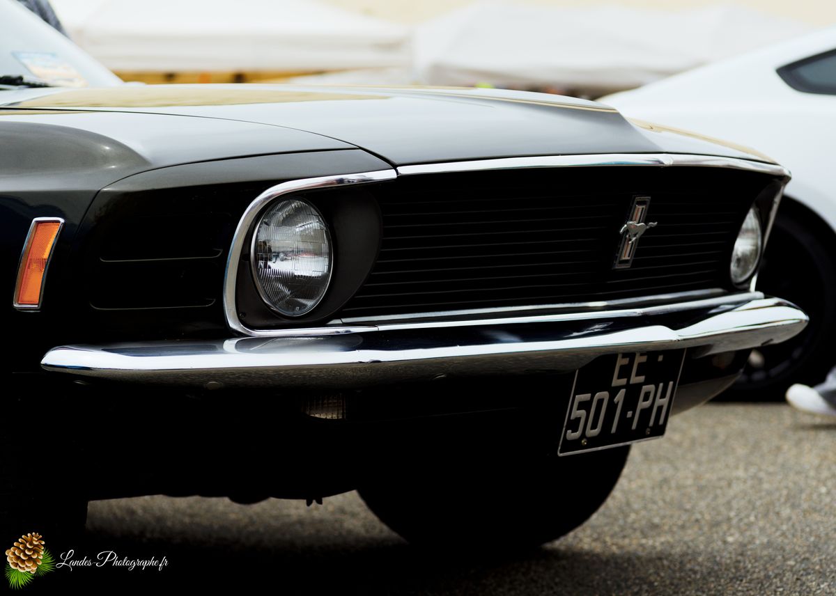 🎸 American Crazy Week 2026 : V8, Chrome et Esprit Californien à Seignosse