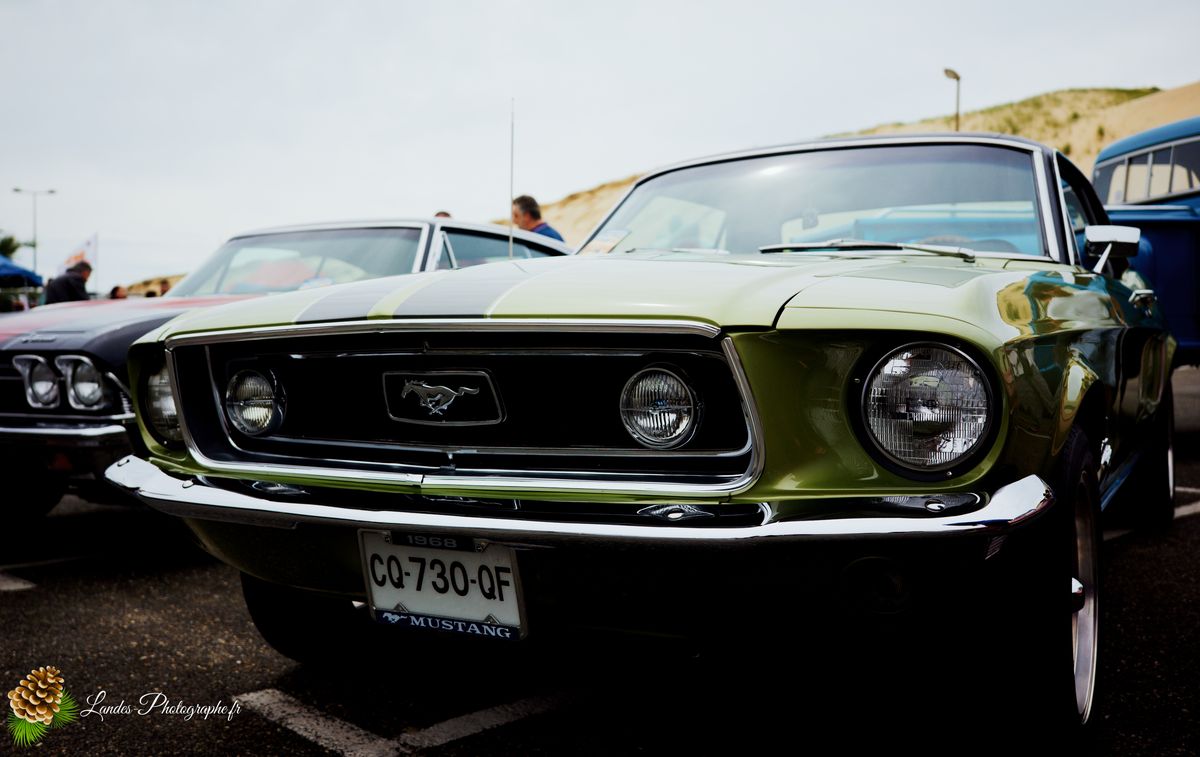 🎸 American Crazy Week 2026 : V8, Chrome et Esprit Californien à Seignosse