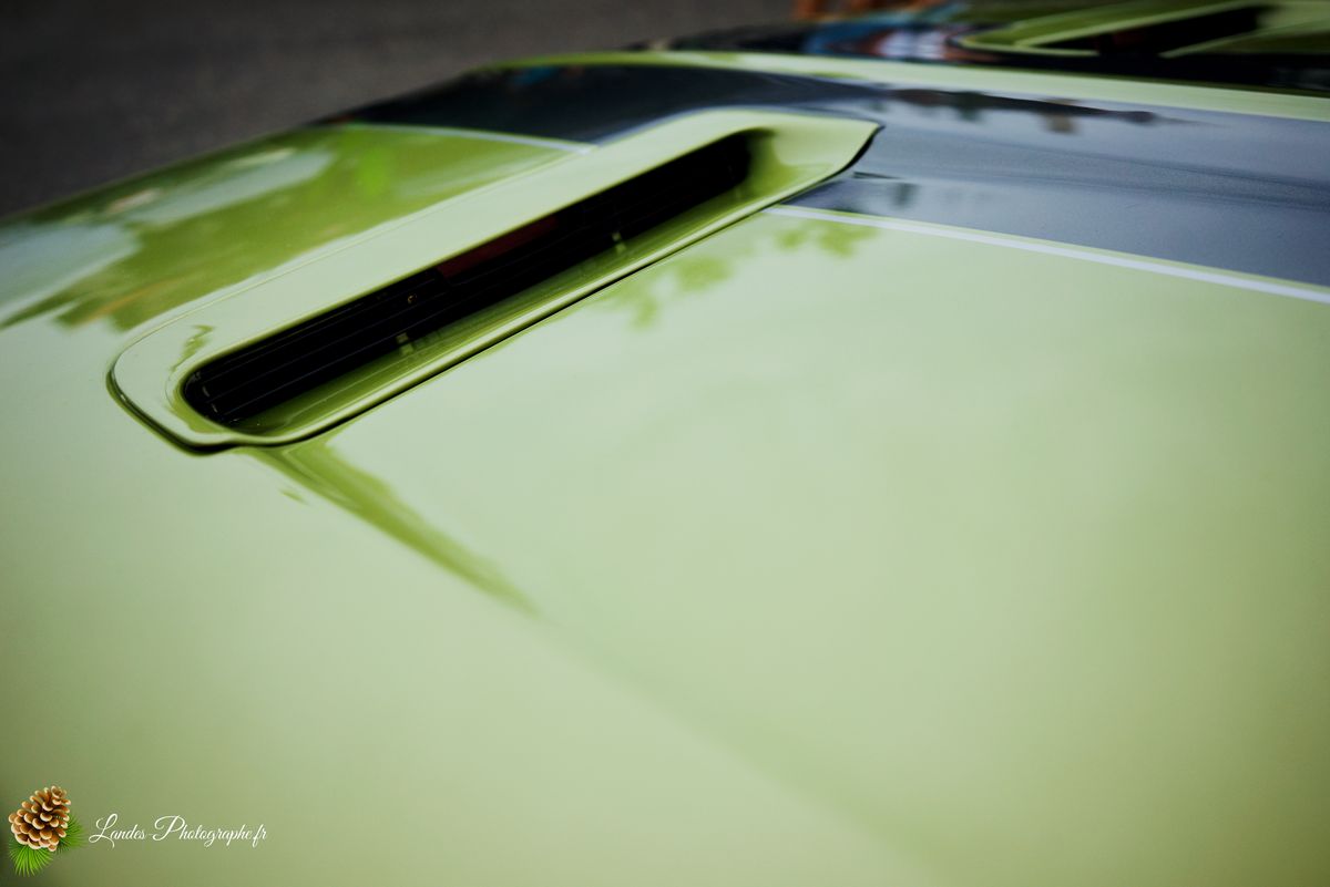 🎸 American Crazy Week 2026 : V8, Chrome et Esprit Californien à Seignosse