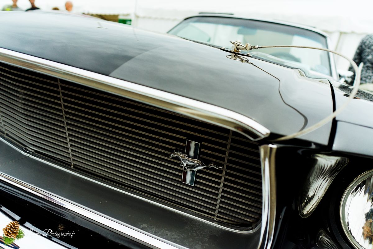🎸 American Crazy Week 2026 : V8, Chrome et Esprit Californien à Seignosse