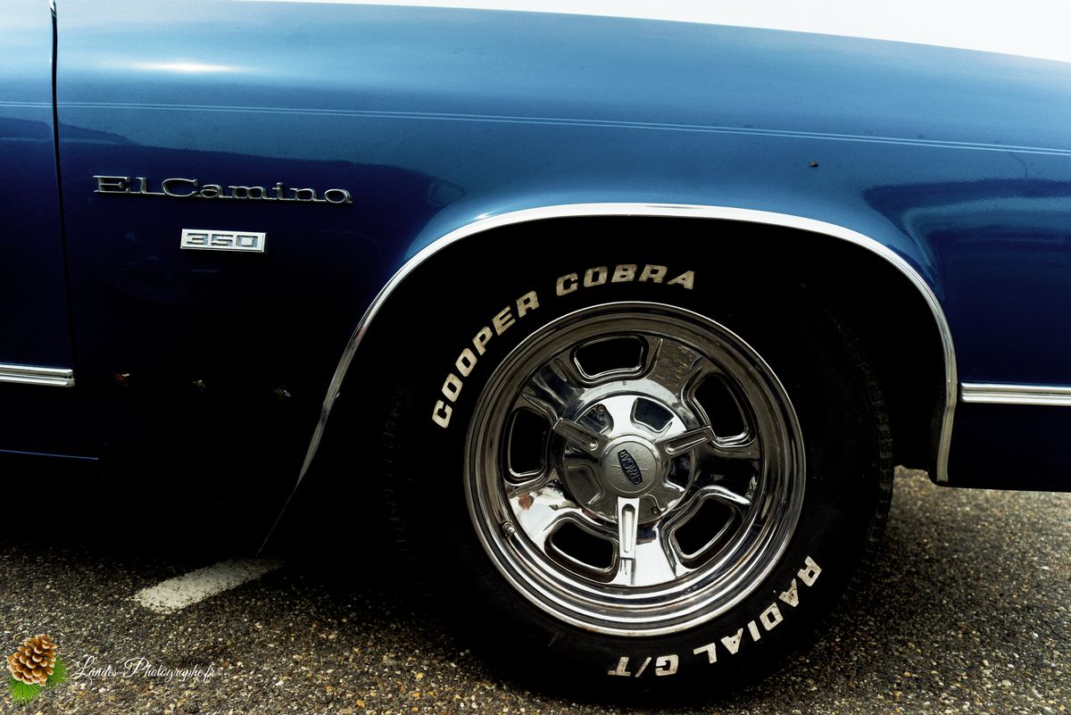 🎸 American Crazy Week 2026 : V8, Chrome et Esprit Californien à Seignosse