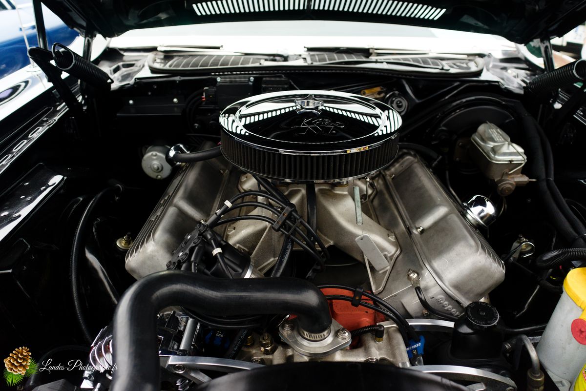 🎸 American Crazy Week 2026 : V8, Chrome et Esprit Californien à Seignosse