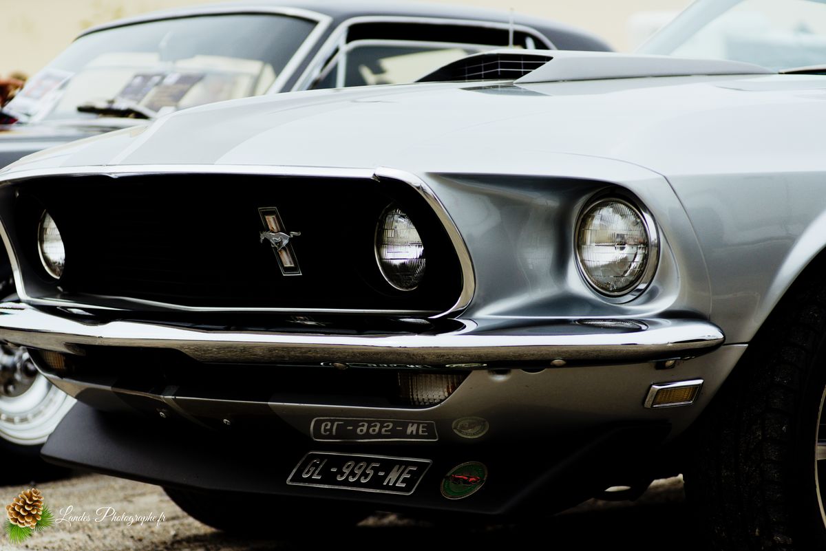 🎸 American Crazy Week 2026 : V8, Chrome et Esprit Californien à Seignosse