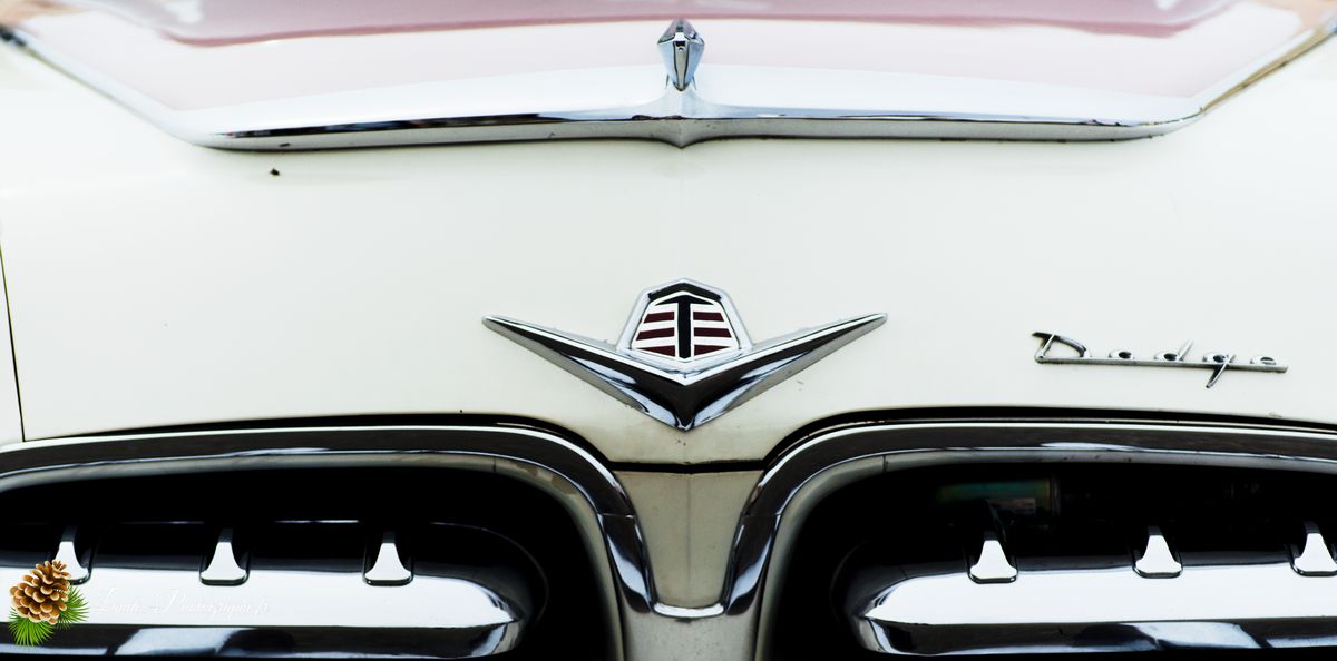 🎸 American Crazy Week 2026 : V8, Chrome et Esprit Californien à Seignosse