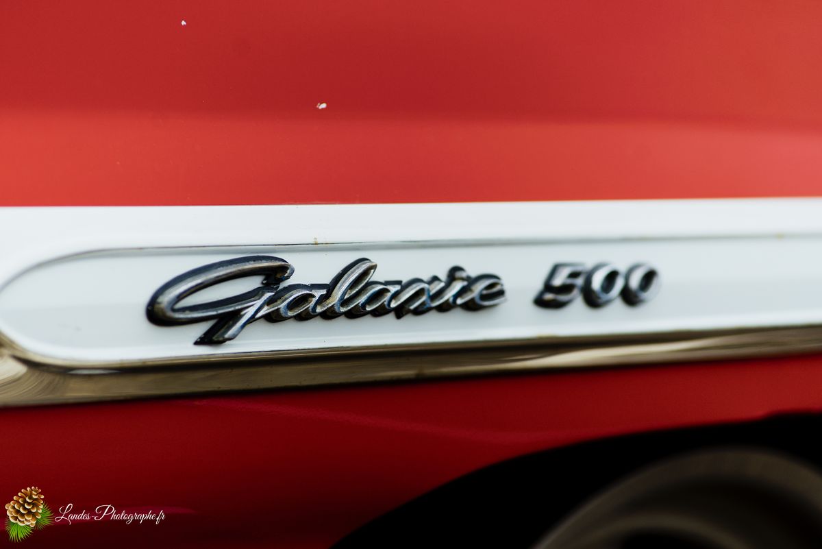 🎸 American Crazy Week 2026 : V8, Chrome et Esprit Californien à Seignosse