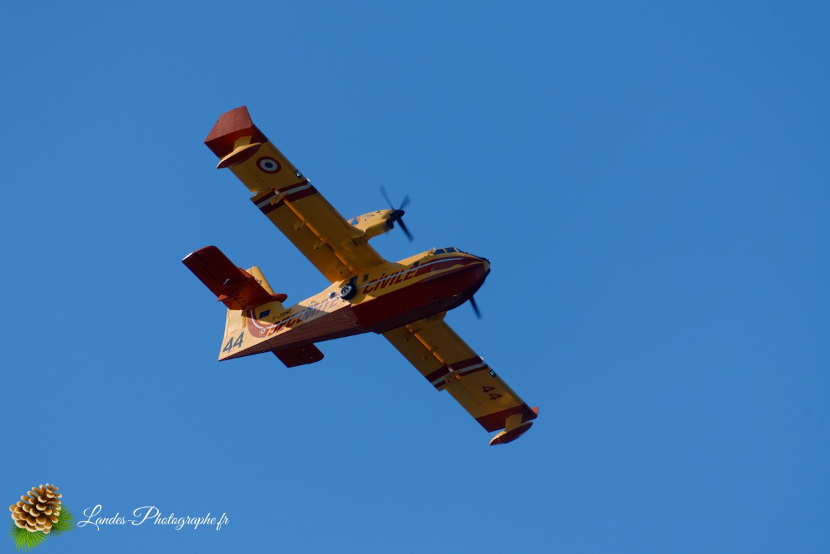 ✈️ Ballet Aérien à Soustons : L’Entraînement Impressionnant des Canadairs sur le Lac