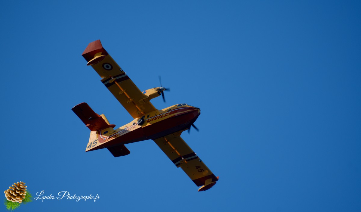 ✈️ Ballet Aérien à Soustons : L’Entraînement Impressionnant des Canadairs sur le Lac