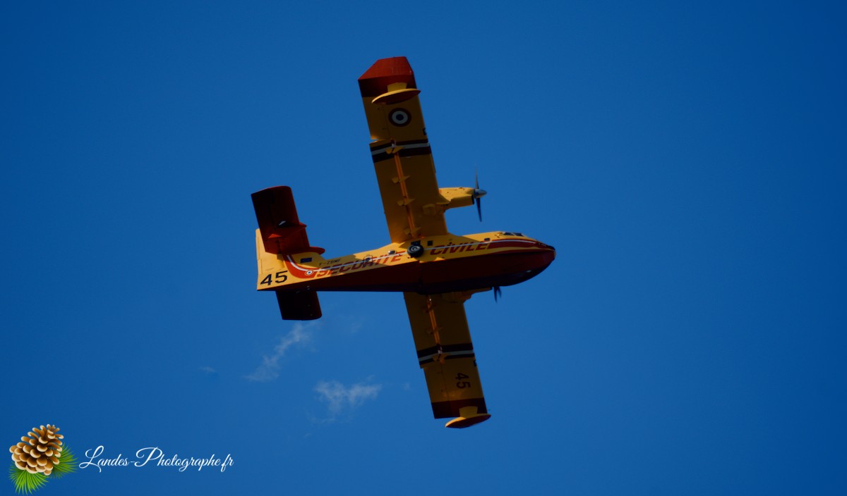 ✈️ Ballet Aérien à Soustons : L’Entraînement Impressionnant des Canadairs sur le Lac