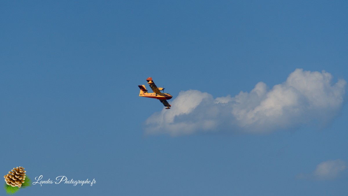 ✈️ Ballet Aérien à Soustons : L’Entraînement Impressionnant des Canadairs sur le Lac