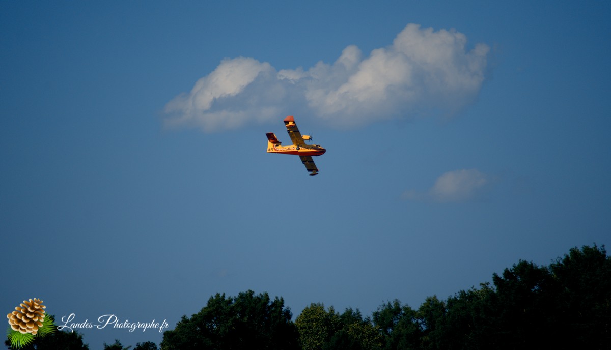 ✈️ Ballet Aérien à Soustons : L’Entraînement Impressionnant des Canadairs sur le Lac