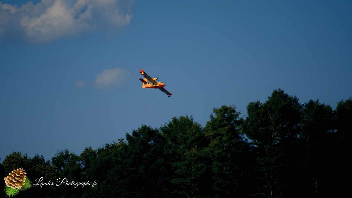 ✈️ Ballet Aérien à Soustons : L’Entraînement Impressionnant des Canadairs sur le Lac