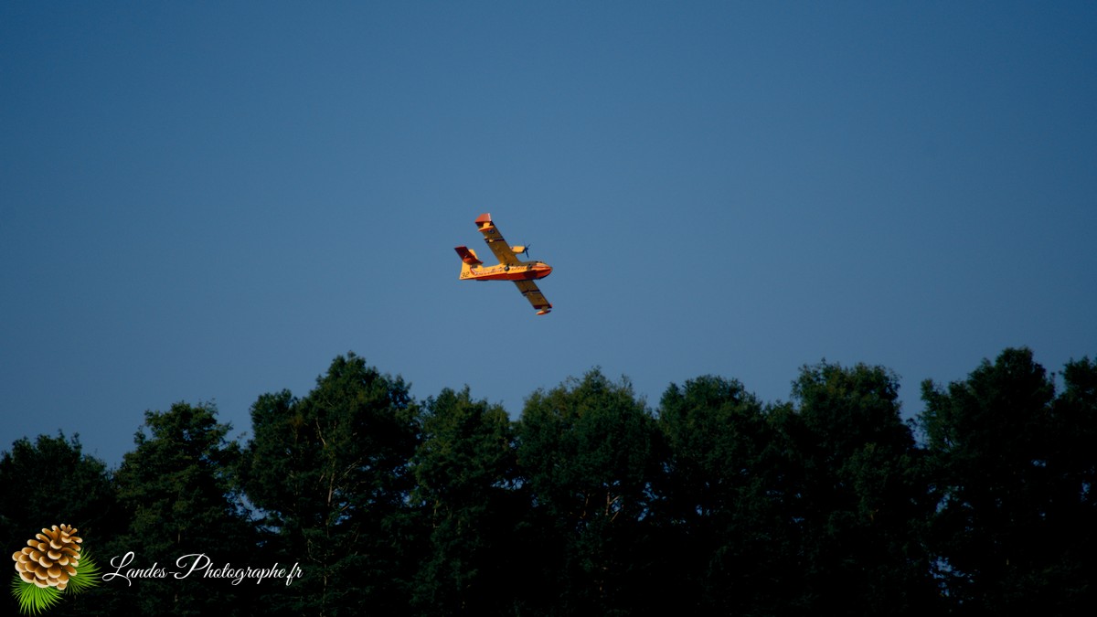 ✈️ Ballet Aérien à Soustons : L’Entraînement Impressionnant des Canadairs sur le Lac