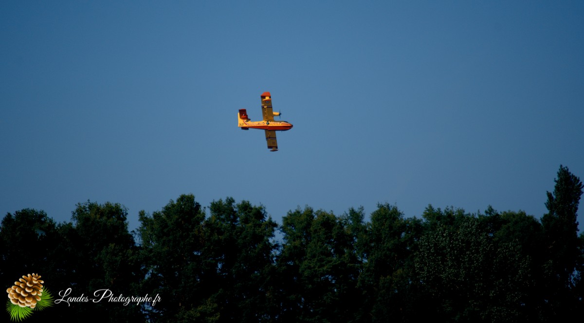 ✈️ Ballet Aérien à Soustons : L’Entraînement Impressionnant des Canadairs sur le Lac