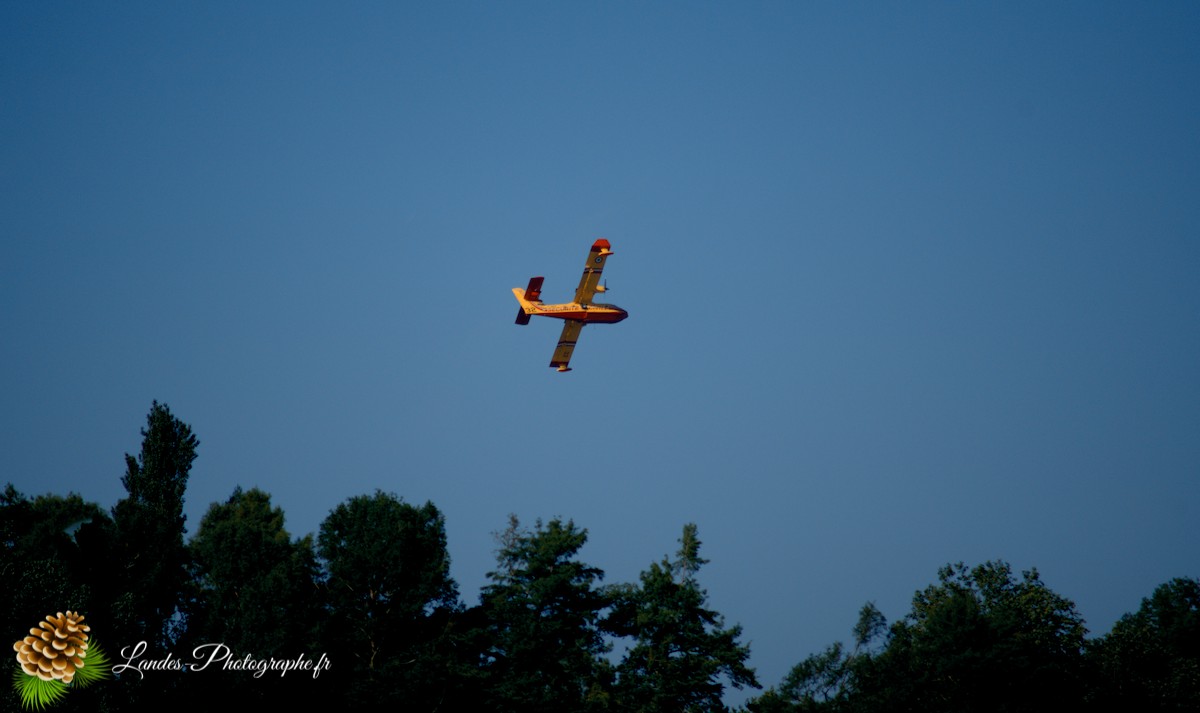 ✈️ Ballet Aérien à Soustons : L’Entraînement Impressionnant des Canadairs sur le Lac