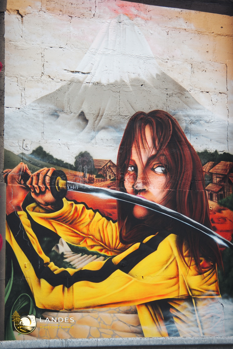 🎨 Graff à Bordeaux : mémoire photographique du street art bordelais 📸