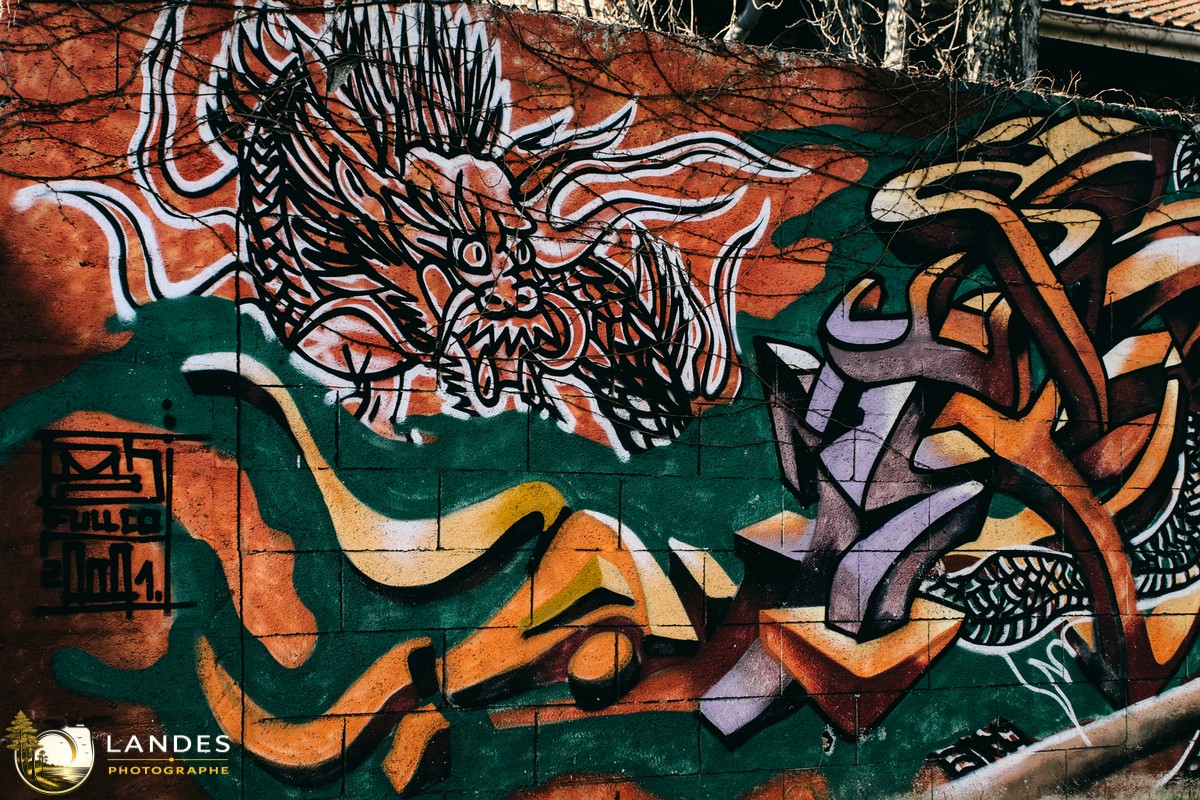 🎨 Graff à Bordeaux : mémoire photographique du street art bordelais 📸