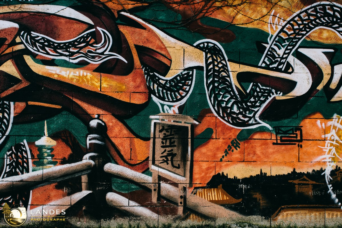 🎨 Graff à Bordeaux : mémoire photographique du street art bordelais 📸