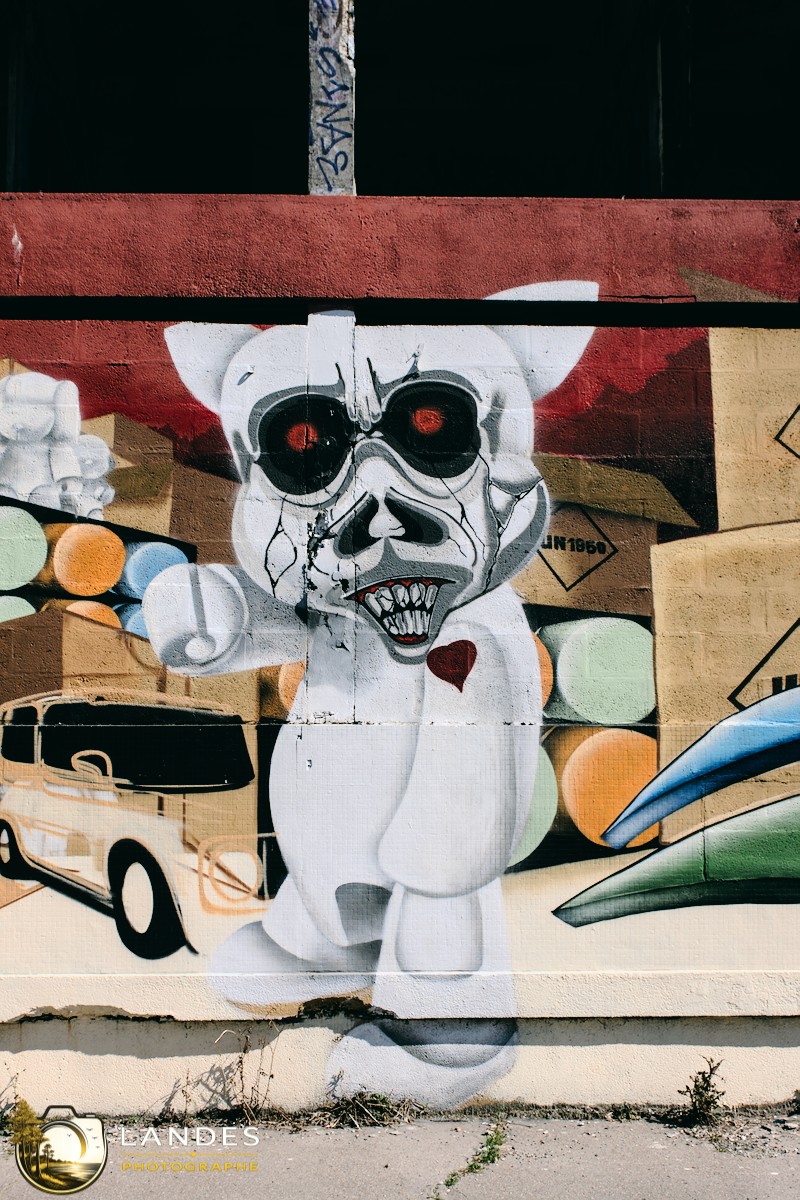 🎨 Graff à Bordeaux : mémoire photographique du street art bordelais 📸