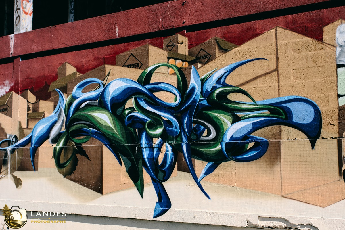 🎨 Graff à Bordeaux : mémoire photographique du street art bordelais 📸