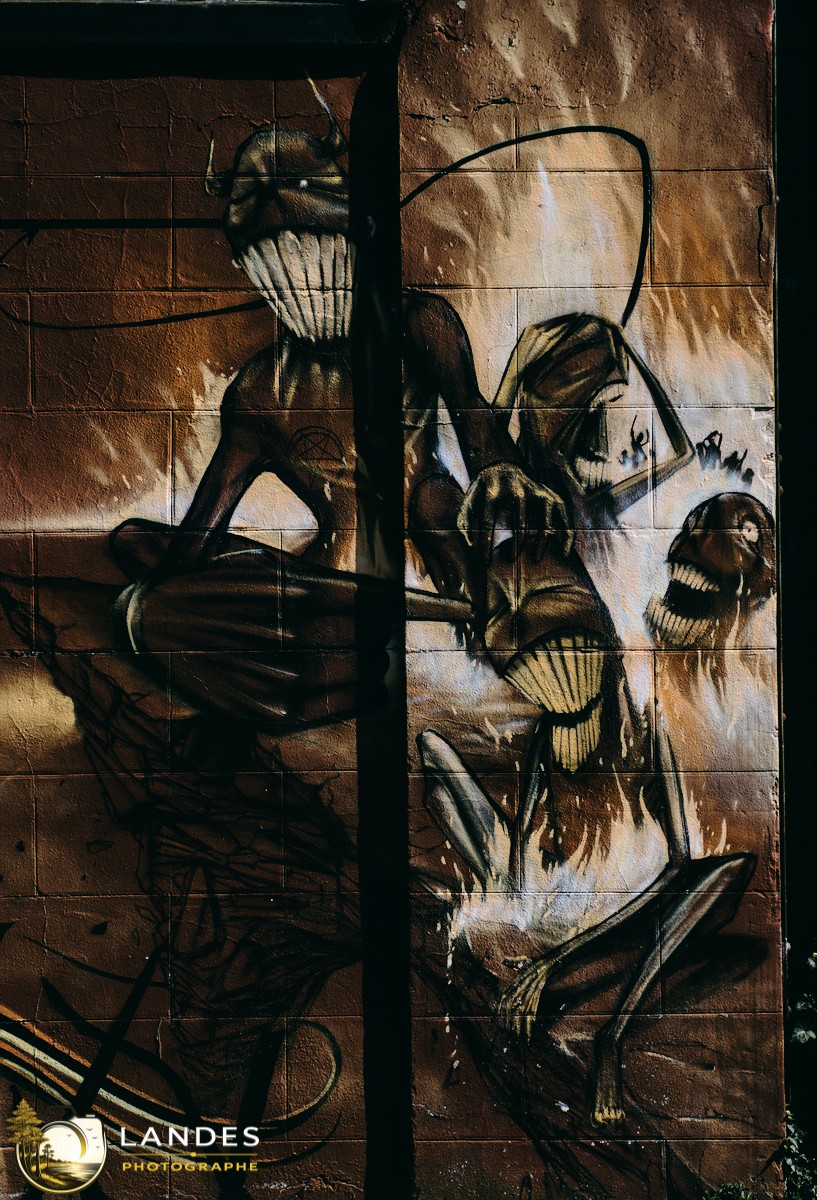 🎨 Graff à Bordeaux : mémoire photographique du street art bordelais 📸