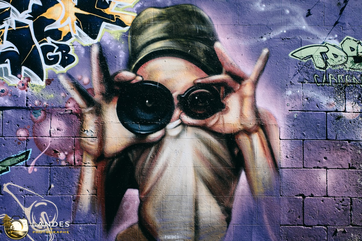 🎨 Graff à Bordeaux : mémoire photographique du street art bordelais 📸