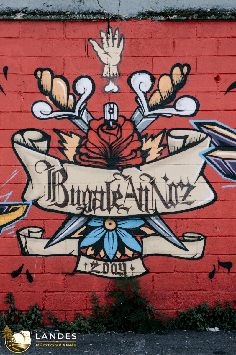 🎨 Graff à Bordeaux : mémoire photographique du street art bordelais 📸
