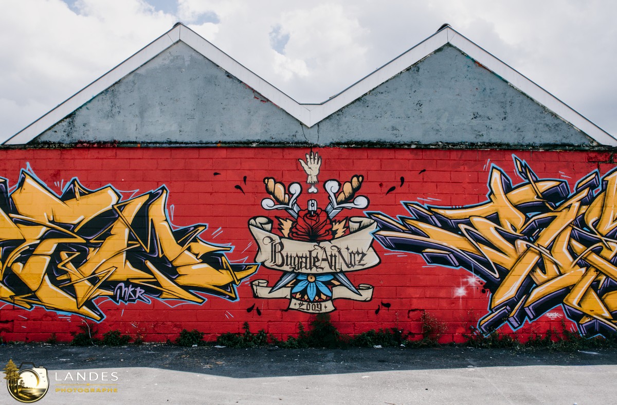 🎨 Graff à Bordeaux : mémoire photographique du street art bordelais 📸