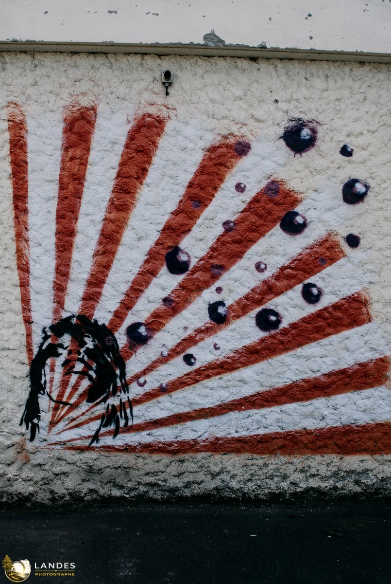 🎨 Graff à Bordeaux : mémoire photographique du street art bordelais 📸