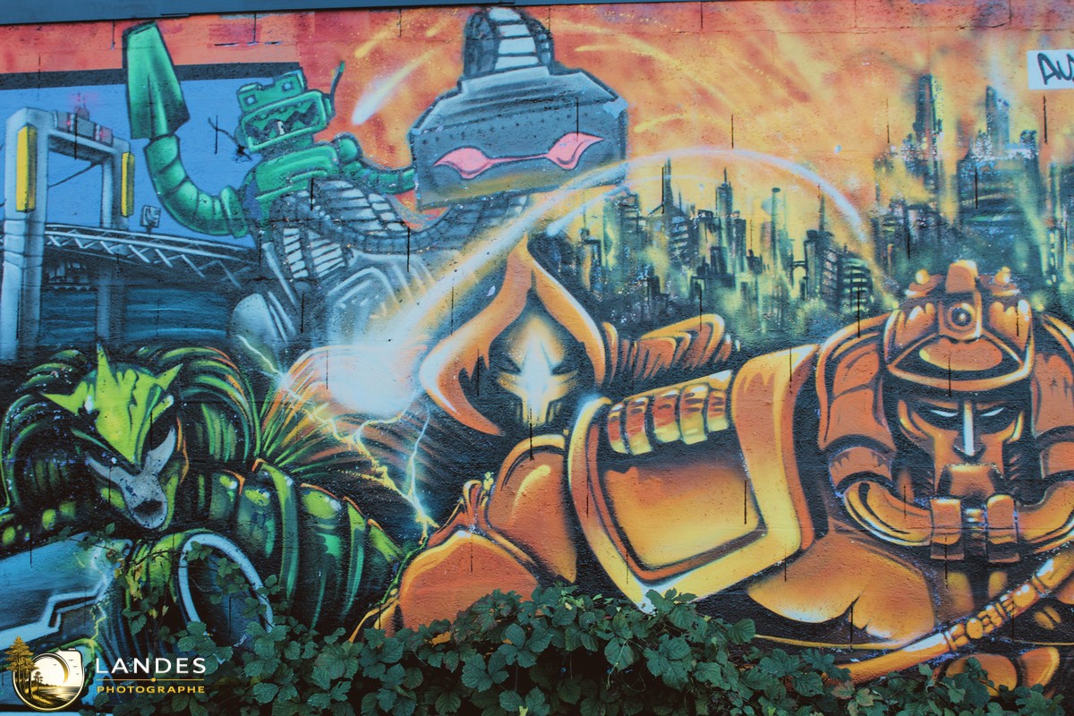 🎨 Graff à Bordeaux : mémoire photographique du street art bordelais 📸