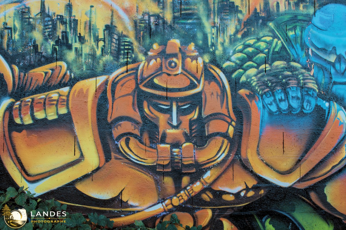 🎨 Graff à Bordeaux : mémoire photographique du street art bordelais 📸