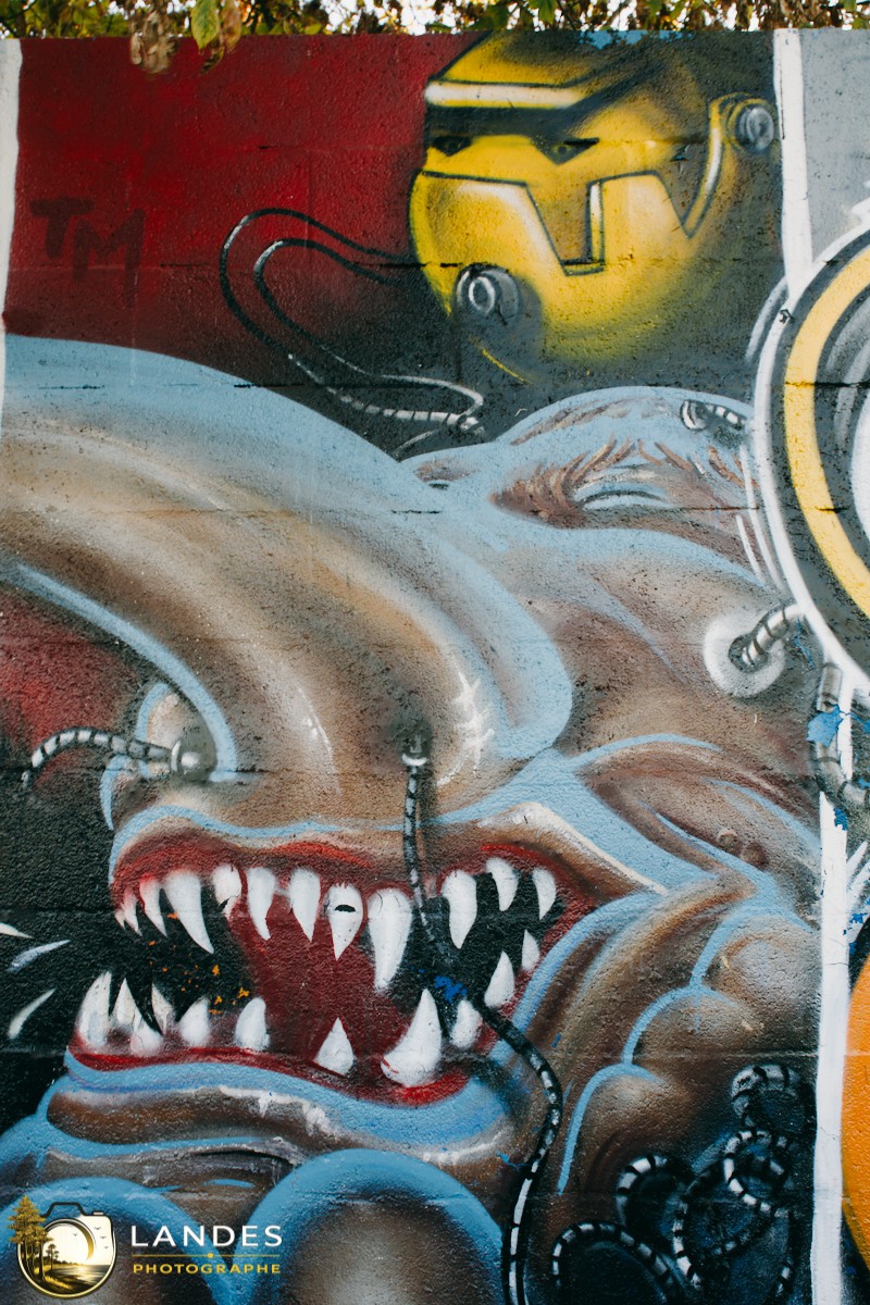 🎨 Graff à Bordeaux : mémoire photographique du street art bordelais 📸