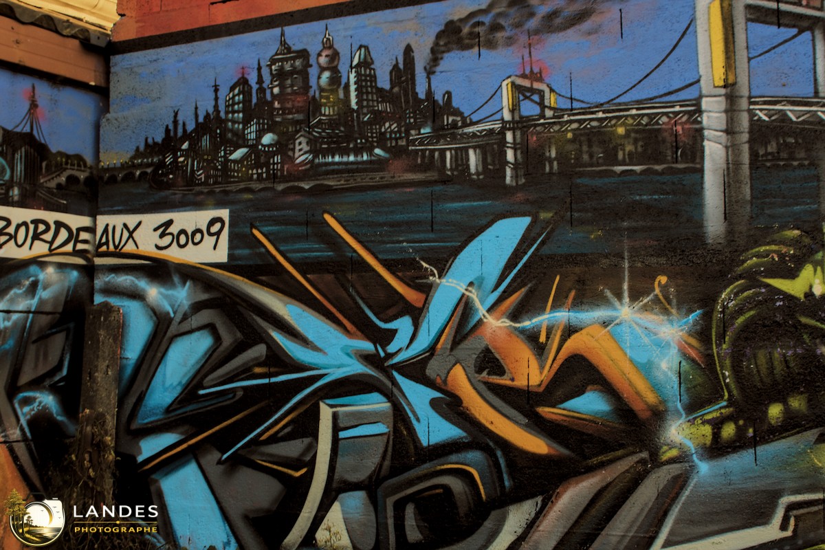 🎨 Graff à Bordeaux : mémoire photographique du street art bordelais 📸