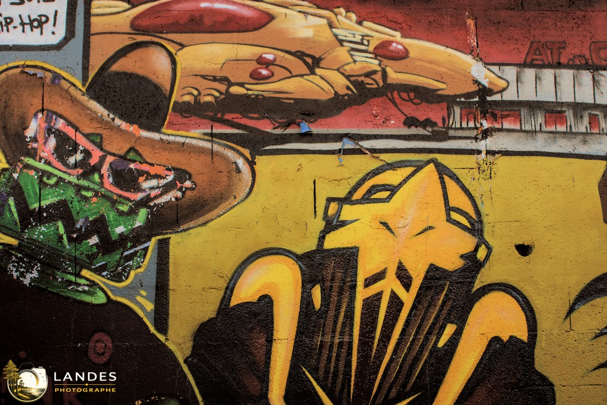 🎨 Graff à Bordeaux : mémoire photographique du street art bordelais 📸