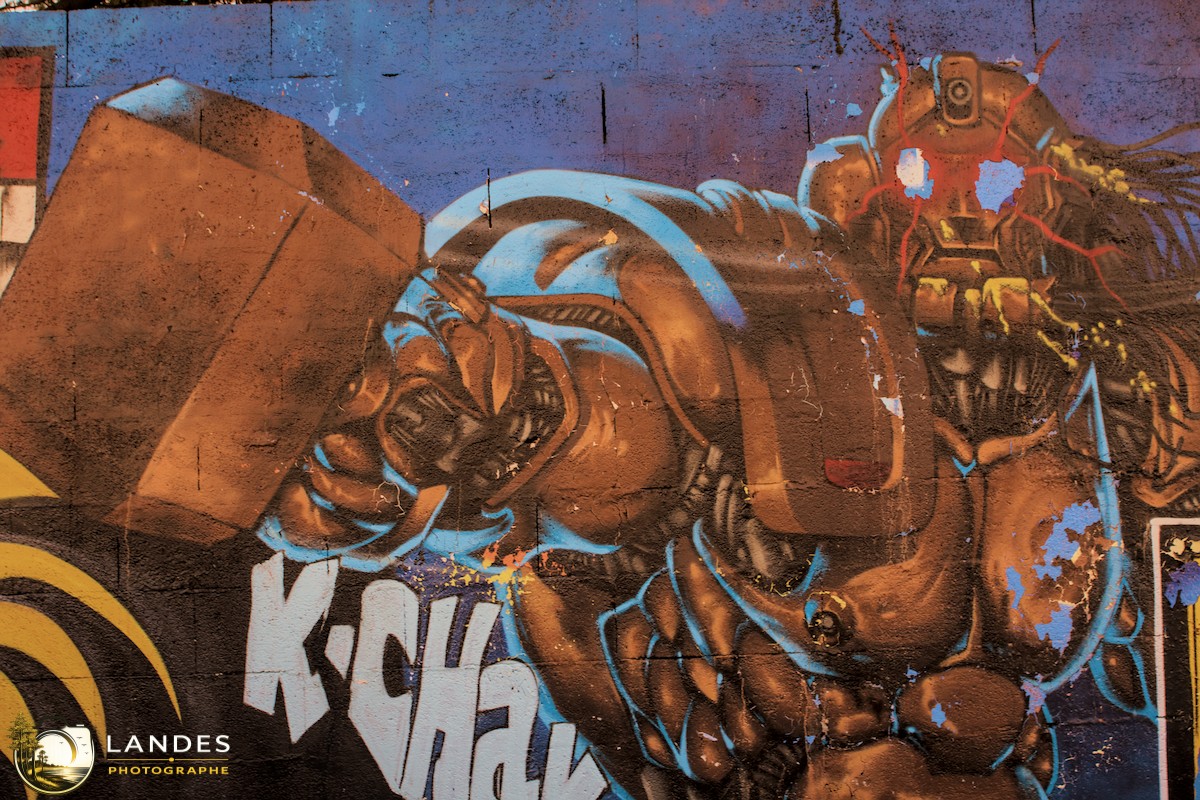 🎨 Graff à Bordeaux : mémoire photographique du street art bordelais 📸